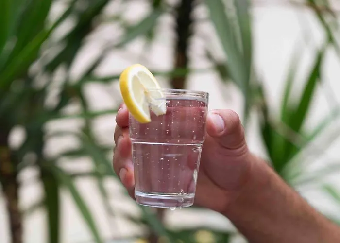 • Pti' Parisien • * פריז