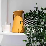 • Pti' Parisien • Apartment *